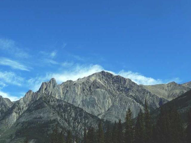 bartoletti_evan_IdRo
